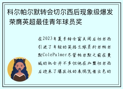 科尔帕尔默转会切尔西后现象级爆发 荣膺英超最佳青年球员奖